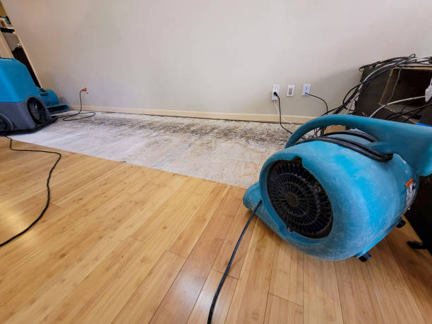Professional Basement Flood Cleanup technician working in Polacca, AZ